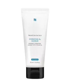 SkinCeuticals Hydrating B5 Mask